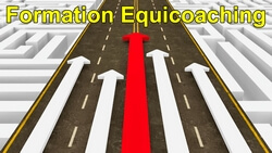 Formation equicoaching