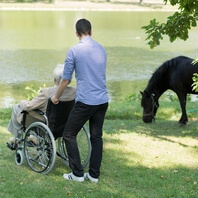 Médiation par le cheval pour les séniors - Séniors en fauteuil roulant - Bernard Lamonnier